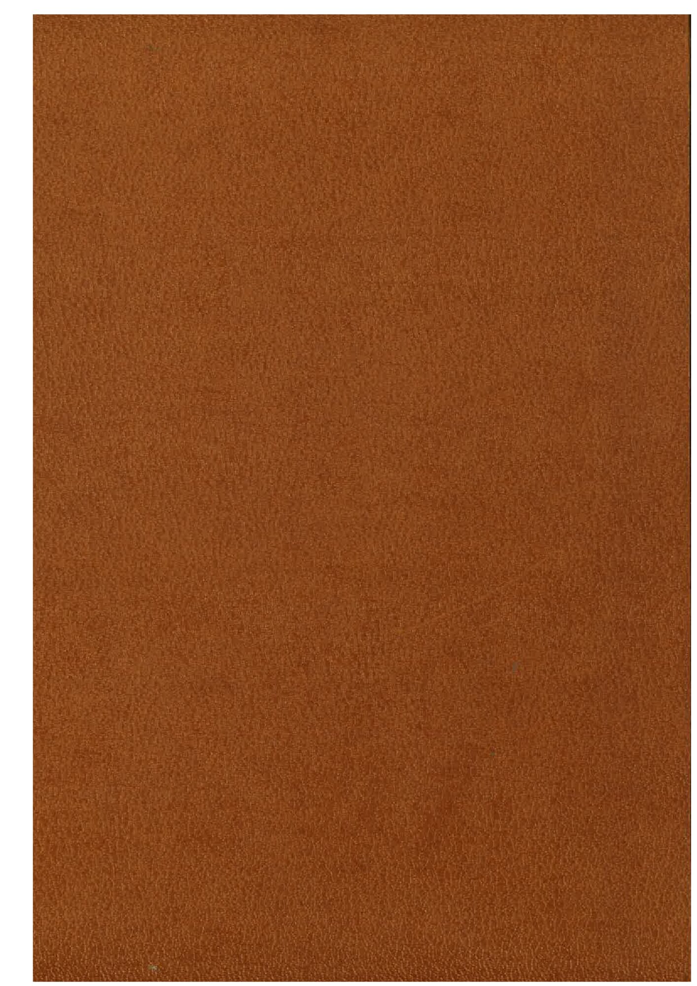RDH3.446.pdf